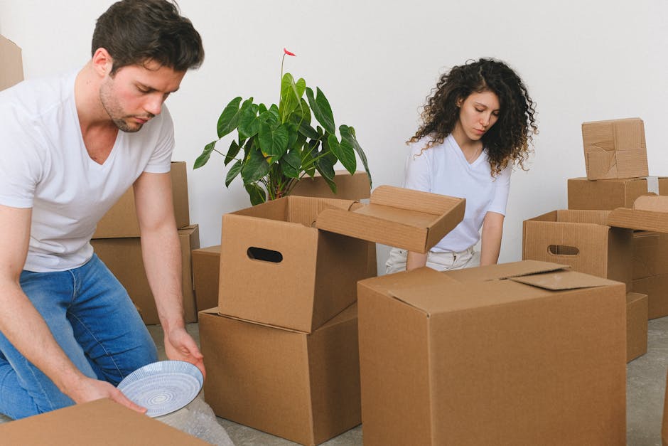 A man and a woman are engaged in a home relocation process inside a room with white walls. The man, dressed in a white t-shirt and blue jeans, is kneeling on the floor, carefully placing a round ceramic plate wrapped in packing material into a large cardboard moving box. The woman, wearing a white shirt and beige trousers, stands nearby holding an open cardboard box, preparing to pack items. Surrounding them are multiple packed and unpacked cardboard boxes of various sizes, some sealed with packing tape and others open, revealing contents. A green potted plant with broad leaves and a single red flower is situated behind the woman, adding some natural decor to the scene. The room appears well-lit, with soft, natural lighting, and the floor is cement or similar material, suggesting a transitional space used for packing in preparation for a home move. Man with Van Queensbury may be involved in this furniture transport and packing process as part of their removals services, which include loading and organizing items for transportation to a new residence.